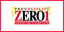 プロレスリングゼロワン